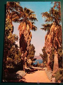 Postales: POSTAL DE BLANES, GERONA, CATALUÑA. AÑO 1969. FUNDACIÓN CARLOS FAUST. JARDÍN BOTÁNICO. 529.